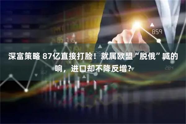 深富策略 87亿直接打脸！就属欧盟“脱俄”喊的响，进口却不降反增？